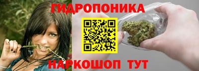 spice Балахна