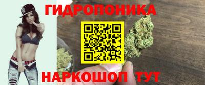 spice Балахна