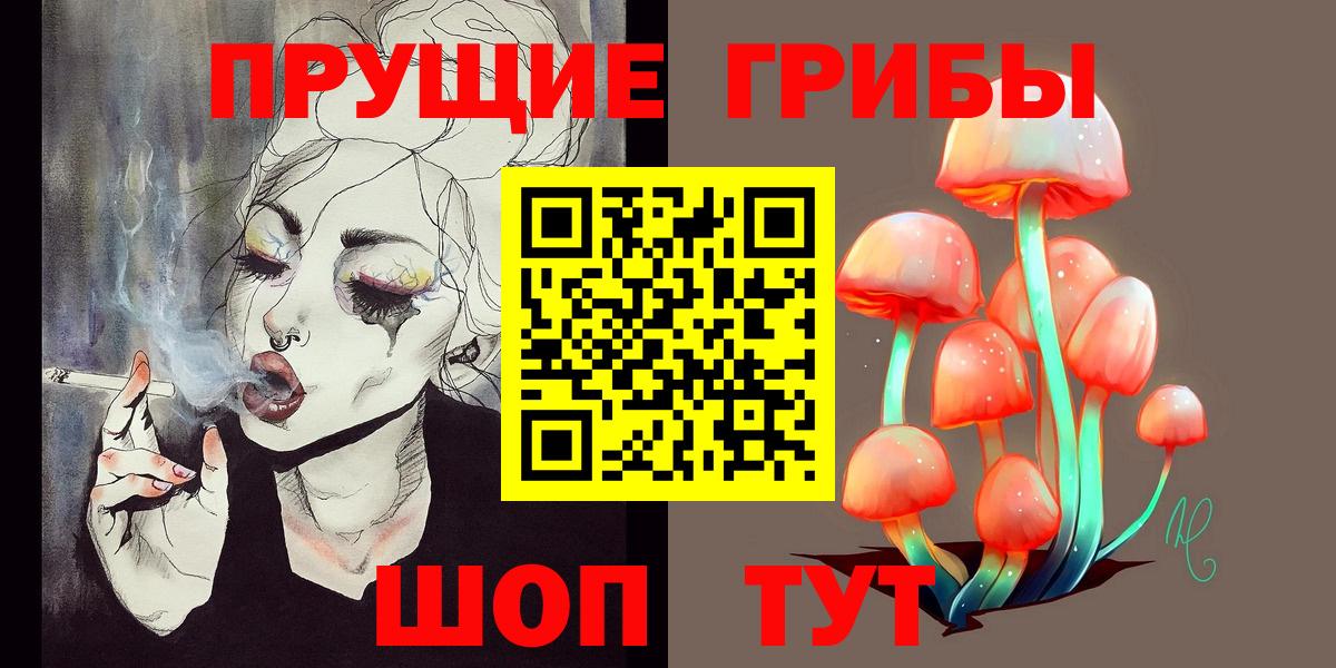 Галлюциногенные грибы Cubensis Десногорск